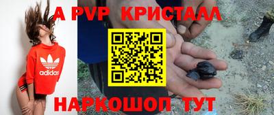 ешки Будённовск
