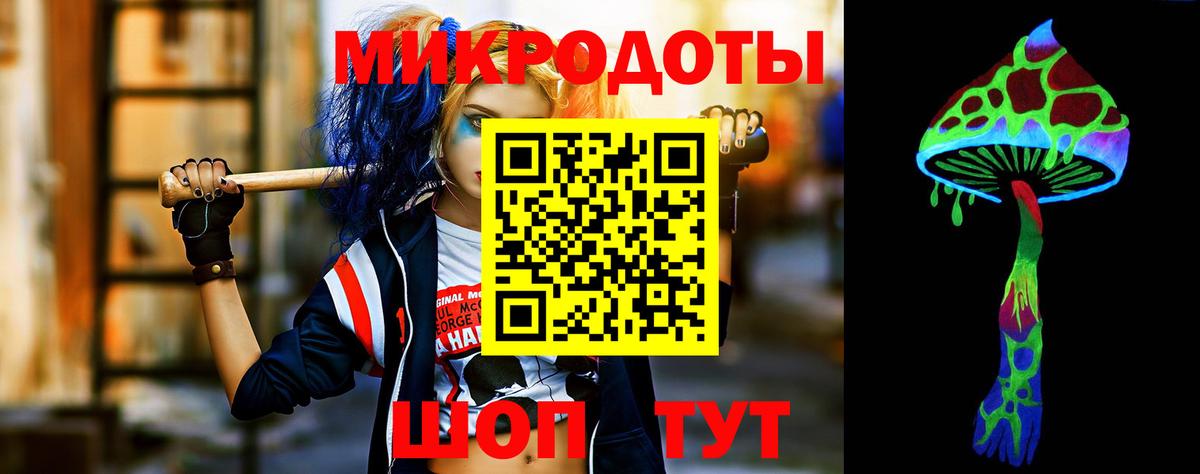 Галлюциногенные грибы Psilocybe Серов